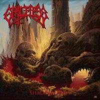 Graceless - Shadowlands i gruppen ÖVRIGT / Övrigt / aub hos Bengans Skivbutik AB (4275018)