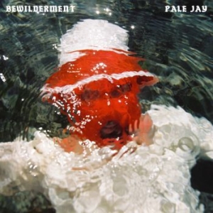Pale Jay - Bewilderment (Ltd Opaque Red Vinyl) i gruppen VINYL / RnB-Soul hos Bengans Skivbutik AB (4278455)