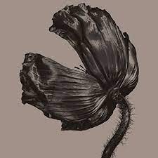 PET SHOP BOYS - RELEASE (VINYL) i gruppen VINYL / Elektroniskt,Pop-Rock hos Bengans Skivbutik AB (4279712)