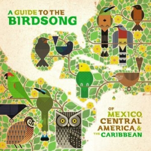 Blandade Artister - A Guide To The Birdsongs Of Mexico, i gruppen VINYL / World Music hos Bengans Skivbutik AB (4281690)
