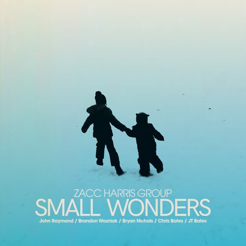 Zacc Harris Group - Small Wonders i gruppen CD / Jazz/Blues hos Bengans Skivbutik AB (4281943)