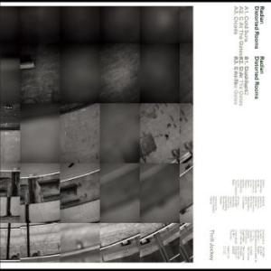 Radian - Distorted Rooms i gruppen CD / Jazz/Blues hos Bengans Skivbutik AB (4285952)