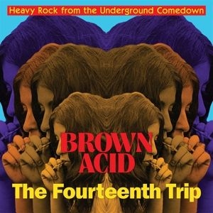 Various artists - Brown Acid - The Fourteenth Trip i gruppen VINYL / Pop-Rock hos Bengans Skivbutik AB (4286251)
