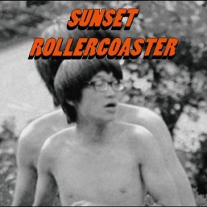 Sunset Rollercoaster - Bossa Nova i gruppen VINYL / Rock hos Bengans Skivbutik AB (4287330)