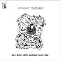 Common Grackle - Old Dog New Tricks Who This i gruppen VINYL / Pop-Rock hos Bengans Skivbutik AB (4287337)