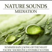 Various Artists - Nature Sounds Meditation i gruppen CD / Pop-Rock hos Bengans Skivbutik AB (4290593)