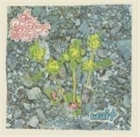 Polyphonic Spree The - Wait i gruppen CD / Pop-Rock hos Bengans Skivbutik AB (4291046)