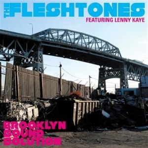 Fleshtones The - Brooklyn Sound Solution (Deluxe) i gruppen CD / Pop-Rock hos Bengans Skivbutik AB (4291055)