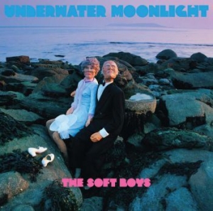 Soft Boys The - Underwater Moonlight i gruppen CD / Rock hos Bengans Skivbutik AB (4291060)
