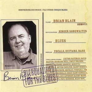 Blain Brian - Overqualified For The Blues i gruppen CD / Jazz hos Bengans Skivbutik AB (4291208)