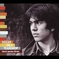 Jacobs-Strain David - Ocean Or A Teardrop i gruppen CD / Jazz hos Bengans Skivbutik AB (4291212)