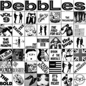 Various Artists - Pebbles Vol. 9: Original Punk Rock i gruppen VINYL / Pop-Rock hos Bengans Skivbutik AB (4292703)