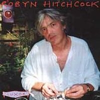 Hitchcock Robyn - Luxor i gruppen CD / Pop-Rock hos Bengans Skivbutik AB (4296058)