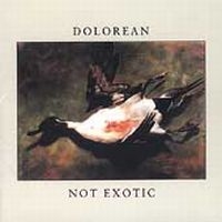 Dolorean - Not Exotic i gruppen CD / Pop-Rock hos Bengans Skivbutik AB (4296064)