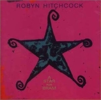 Hitchcock Robyn - A Star For Bram i gruppen CD / Pop-Rock hos Bengans Skivbutik AB (4296085)