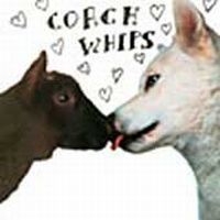 Coachwhips - Bangers Vs Fuckers i gruppen CD / Rock hos Bengans Skivbutik AB (4296168)