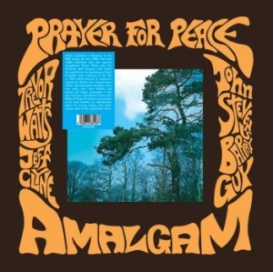 Amalgam - Prayer For Peace i gruppen VINYL / Pop-Rock,Övrigt hos Bengans Skivbutik AB (4298294)