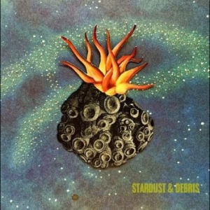 Wenglén Lotta - Stardust & Debris i gruppen CD / Pop-Rock hos Bengans Skivbutik AB (4300242)