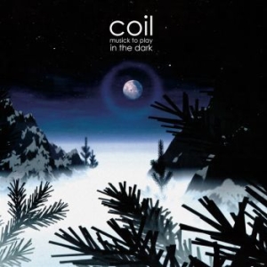 Coil - Musick To Play In The Dark (2 Lp Ho i gruppen VINYL / Pop-Rock hos Bengans Skivbutik AB (4300380)