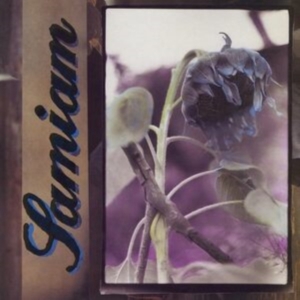 Samiam - Samiam (Splatter Vinyl) i gruppen VINYL / Hårdrock hos Bengans Skivbutik AB (4302086)