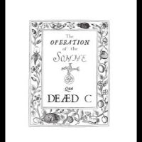 Dead C. - Operation Of The Sonne i gruppen VINYL / Pop-Rock hos Bengans Skivbutik AB (4302272)