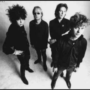 Nomads The - Where The Wolf's Bane Blooms i gruppen VINYL / Hårdrock,Pop-Rock,Svensk Musik hos Bengans Skivbutik AB (4302973)