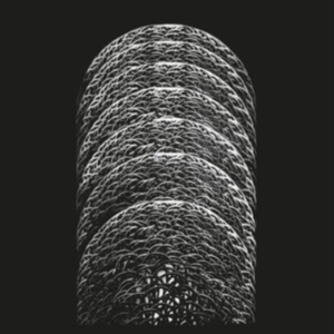 Bolt Gun - Warren The (7