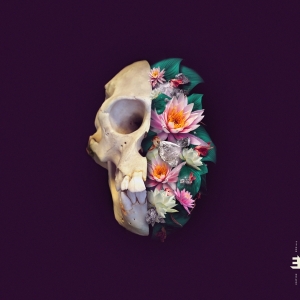 Verneri Pohjola - Monkey Mind i gruppen CD / Jazz hos Bengans Skivbutik AB (4303964)