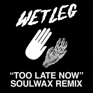 Wet Leg - Too Late Now (Soulwax Remix) i gruppen VINYL / Rock hos Bengans Skivbutik AB (4304528)