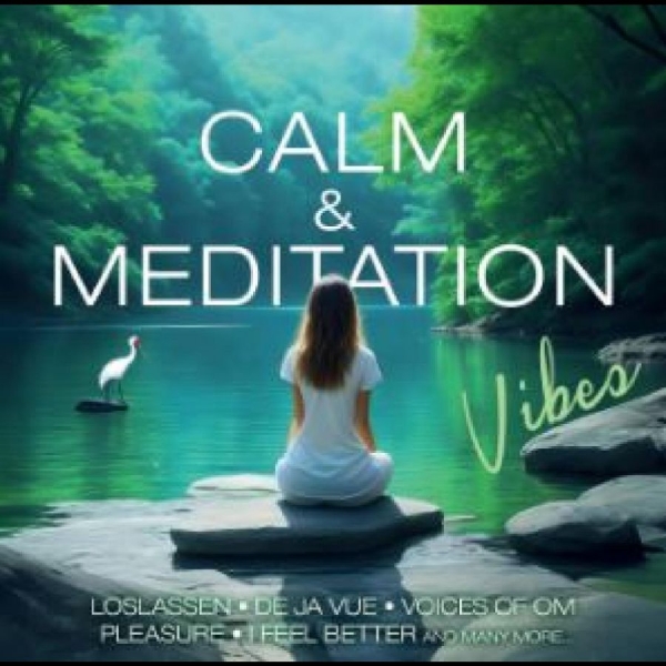Various Artists - Calm & Meditation Vibes i gruppen MUSIK / Dual Disc / Pop-Rock hos Bengans Skivbutik AB (4305560)
