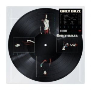 Grey Daze - Amends (Picture Disc Vinyl #2) i gruppen VINYL / Pop-Rock hos Bengans Skivbutik AB (4305567)