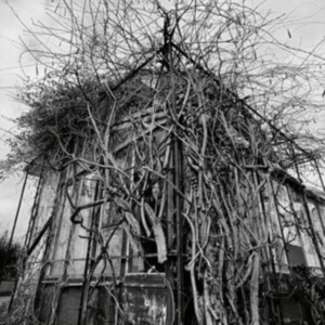 Impure Wilhelmina - Dead Decades (Marbled Vinyl Lp) i gruppen VINYL / Hårdrock hos Bengans Skivbutik AB (4306216)