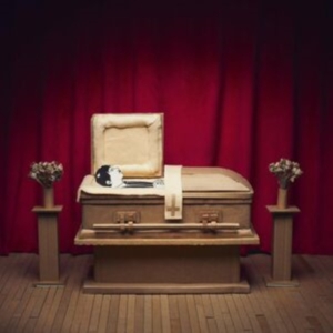 Pepper Gregory & His Problems - No Thanks i gruppen VINYL / Hårdrock hos Bengans Skivbutik AB (4306511)