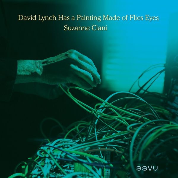 SSVU - David Lynch Has a Painting Made of Flies Eyes i gruppen VINYL / Pop-Rock hos Bengans Skivbutik AB (4307826)