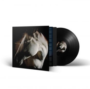 Brother Dege - How To Kill A Horse (Vinyl Lp) i gruppen VINYL / Pop-Rock hos Bengans Skivbutik AB (4308269)