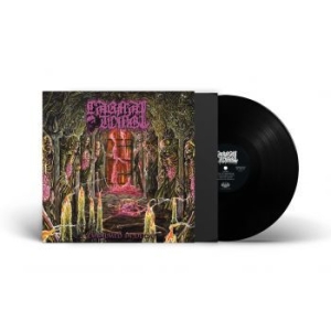 Carnal Tomb - Embalmed In Decay (Vinyl Lp) i gruppen VINYL / Hårdrock hos Bengans Skivbutik AB (4308277)