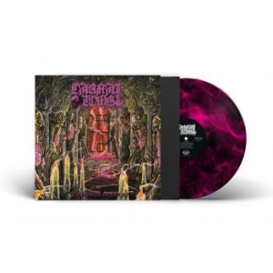 Carnal Tomb - Embalmed In Decay (Magenta Marbled i gruppen VINYL / Hårdrock hos Bengans Skivbutik AB (4308279)