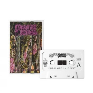Carnal Tomb - Embalmed In Decay (Mc) i gruppen Hårdrock/ Heavy metal hos Bengans Skivbutik AB (4308288)