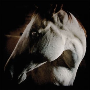 Brother Dege - How To Kill A Horse (Digisleeve) i gruppen CD / Pop-Rock hos Bengans Skivbutik AB (4308294)