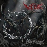 Vile - Depopulate (Red/Black Vinyl) i gruppen VINYL / Hårdrock hos Bengans Skivbutik AB (4308957)