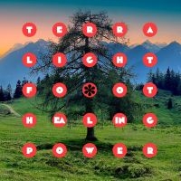 Lightfoot Terra - Healing Power i gruppen VI TIPSAR / Fredagsreleaser / Fredag den 2:e Februari 2024 hos Bengans Skivbutik AB (4309085)