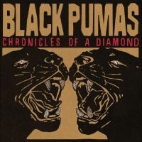 BLACK PUMAS - CHRONICLES OF A DIAMOND i gruppen Minishops / Black Pumas hos Bengans Skivbutik AB (4310929)
