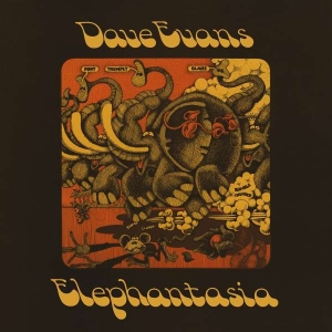 Evans Dave - Elephantasia i gruppen VINYL / Pop-Rock hos Bengans Skivbutik AB (4312180)