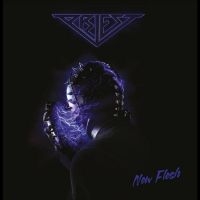 PRIEST - NEW FLESH i gruppen CD / Hårdrock,Pop-Rock,Svensk Musik hos Bengans Skivbutik AB (4312247)