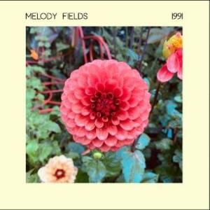 MELODY FIELDS - 1991 i gruppen VINYL / Pop-Rock,Svensk Musik hos Bengans Skivbutik AB (4313064)