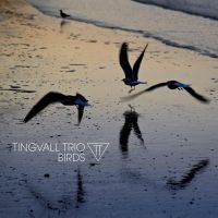 Tingvall Trio - Birds i gruppen CD / Jazz hos Bengans Skivbutik AB (4313108)
