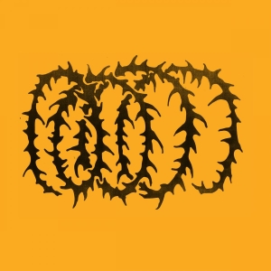 Hotline Tnt - Cartwheel i gruppen VINYL / Pop-Rock hos Bengans Skivbutik AB (4313232)