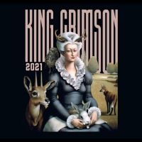 King Crimson - Music Is Our Friend i gruppen VINYL / Pop-Rock hos Bengans Skivbutik AB (4313519)