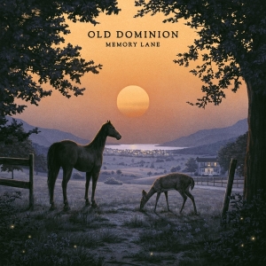 Old Dominion - Memory Lane i gruppen ÖVRIGT / Övrigt / aub hos Bengans Skivbutik AB (4313854)