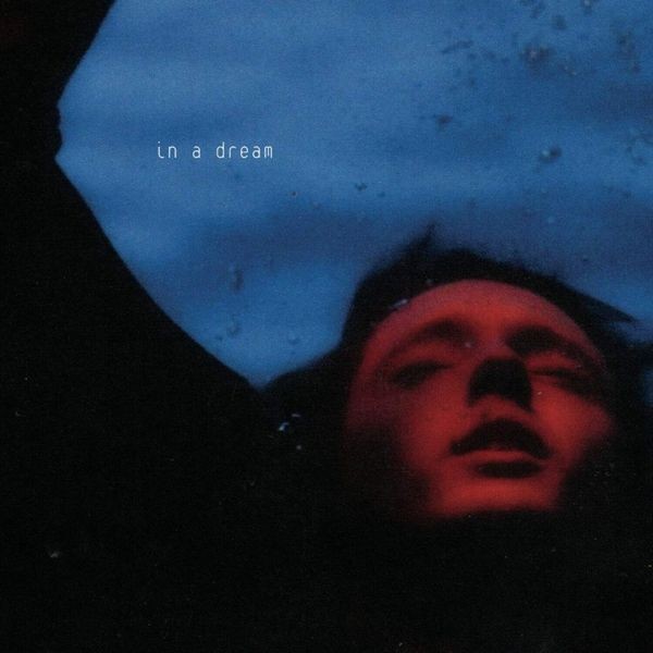 Troye Sivan - In a dream - Half Blue & Half Light Blue i gruppen VINYL / Pop hos Bengans Skivbutik AB (4314219)